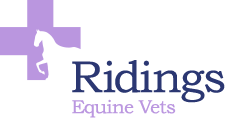 Riding Equine Vets